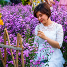 Ý Nghĩa Hoa Thạch Thảo | Nguồn Gốc, Đặc Điểm & Cách Trồng 