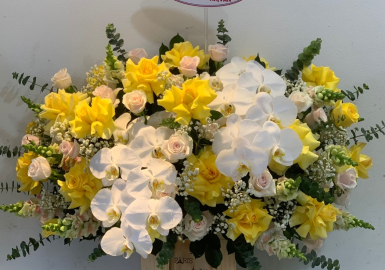 hoa sinh nhật quận 11