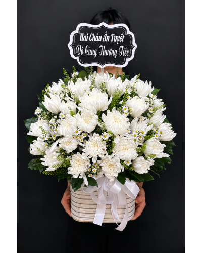 Một Đời Nhớ Mãi - HTL01