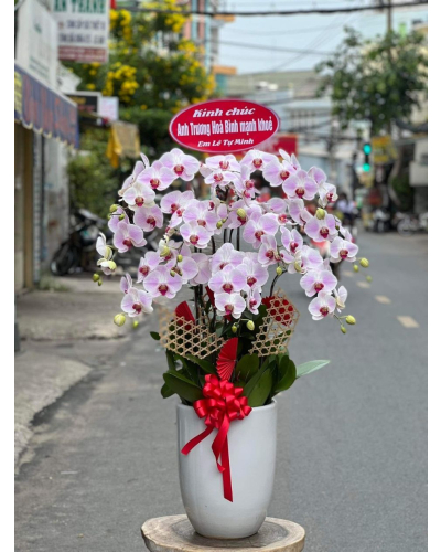 Mẫu Hoa Lan