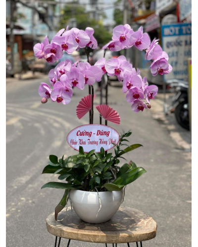 Mẫu Hoa Lan