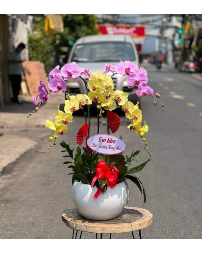 Mẫu Hoa Lan
