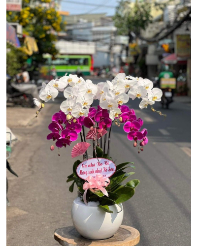 Mẫu Hoa Lan
