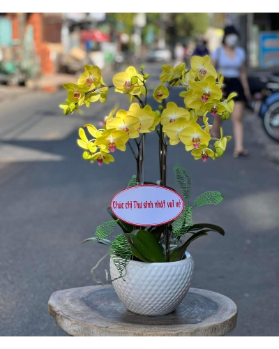 Mẫu Hoa Lan