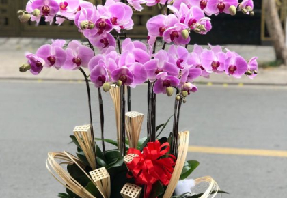  Ghé Shop Hoa Tươi Quận 11 – Đa Dạng Chủng Loại, Giá Tốt