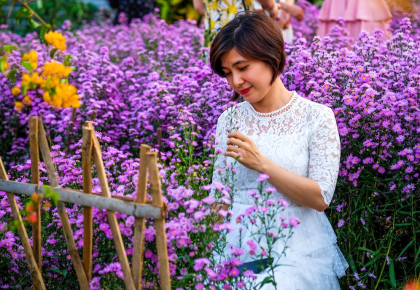 Ý Nghĩa Hoa Thạch Thảo | Nguồn Gốc, Đặc Điểm & Cách Trồng 