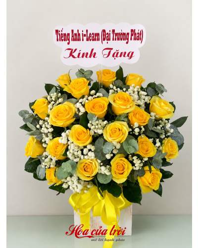 Bó Hoa Cầu Vồng-HNL39