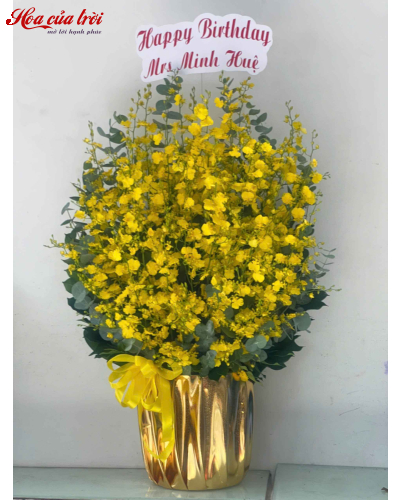 Hoa Sinh Nhật Sắc Xuân - HSN27