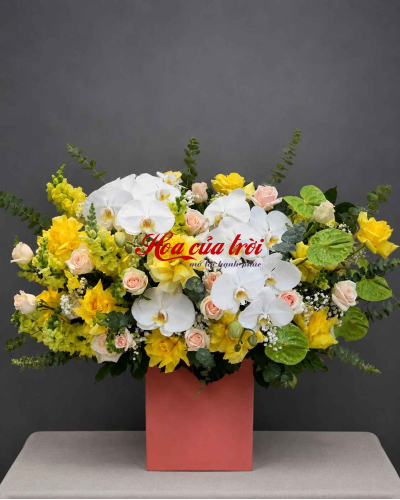 Hoa Sinh Nhật Vạn Phúc - HSN24