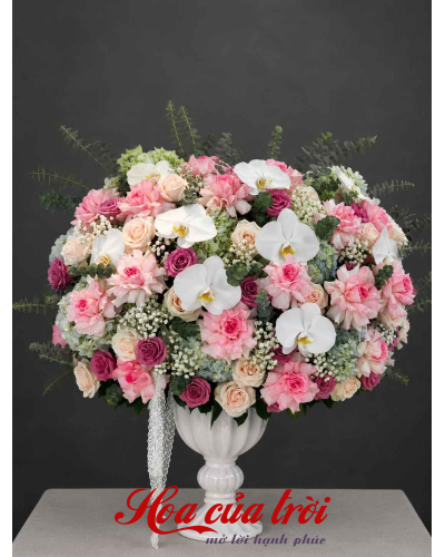 Hoa Sinh Nhật Yêu Mến - HSN19