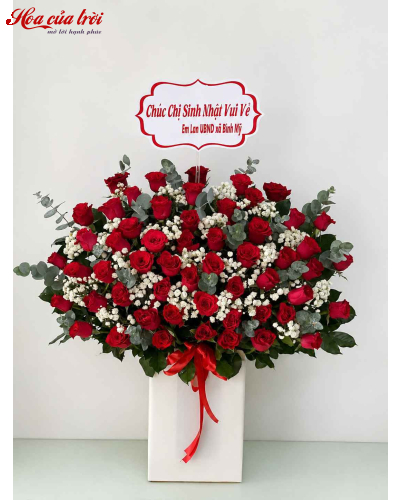 Hoa Sinh Nhật Thiên Ân - HSN23