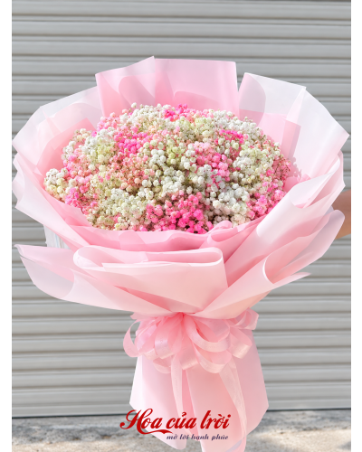 Bó Hoa Lời Yêu-HB65