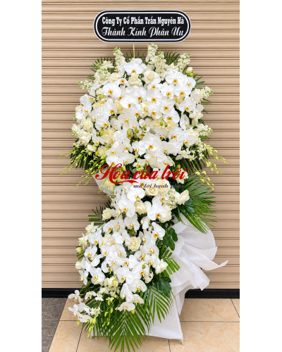 Một Lời Tiễn Biệt – HTL 031 