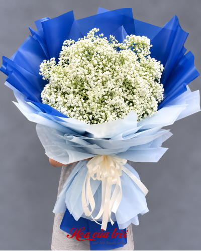 Bó Hoa Sớm Mai-HB102
