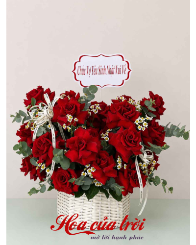 Hoa Sinh Nhật Khởi Sắc - HSN21