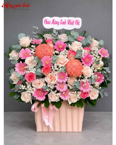 Hoa Sinh Nhật Tâm An - HSN22