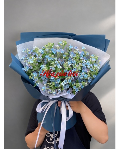 Hoa Bó Ánh Dương – HB39