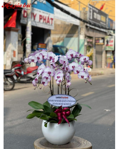 Mẫu Hoa Lan