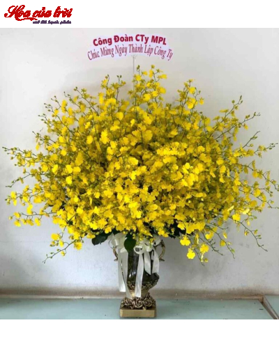 Mẫu Hoa Bình