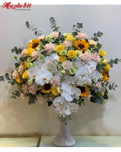 Mẫu Hoa Bình