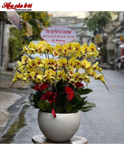 Mẫu Hoa Lan