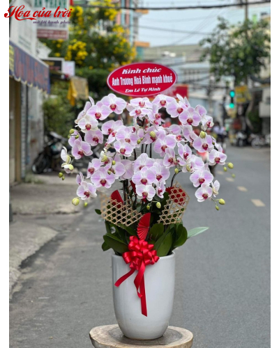 Mẫu Hoa Lan