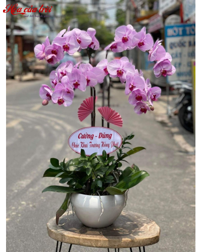 Mẫu Hoa Lan