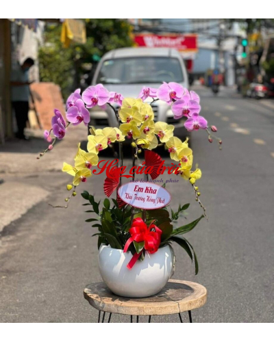 Mẫu Hoa Lan