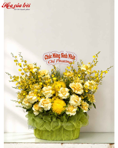Hoa Sinh Nhật Hạnh Phúc - HSN46