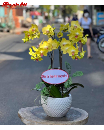 Mẫu Hoa Lan