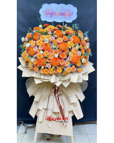  Hoa khai trương âu cơ HKT055