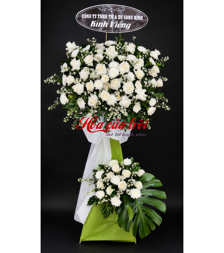 Vĩnh Hằng – HTL 010 