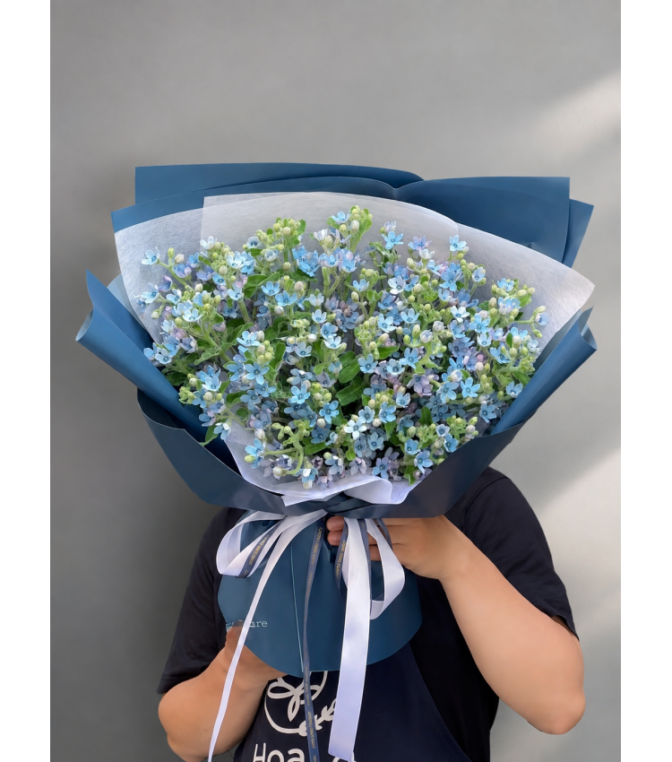 Hoa Bó Ánh Dương – HB39
