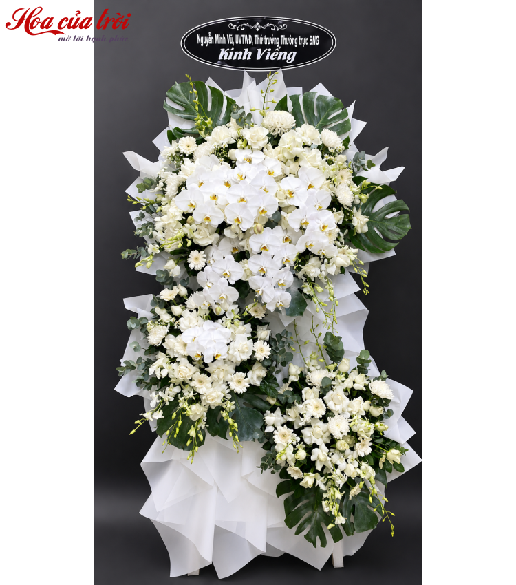 Tưởng Nhớ – HTL 013 
