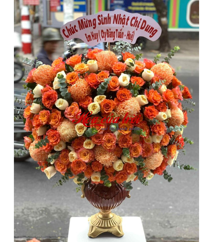 Mẫu Hoa Bình