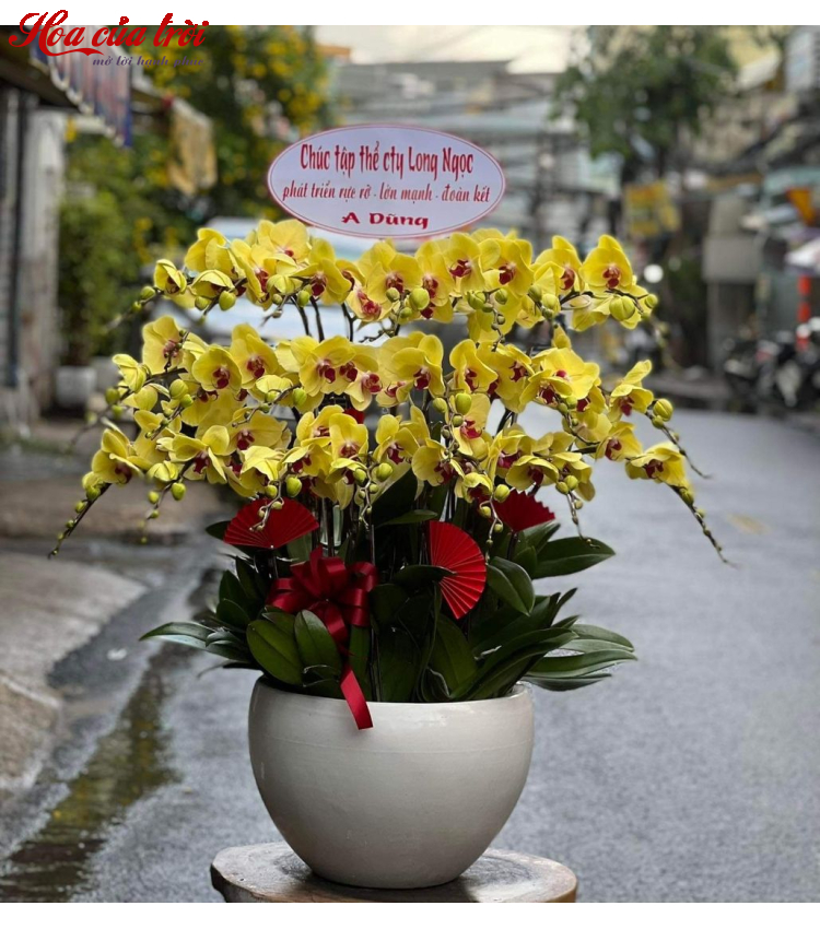 Mẫu Hoa Lan