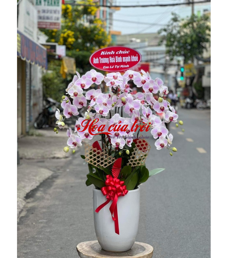 Mẫu Hoa Lan