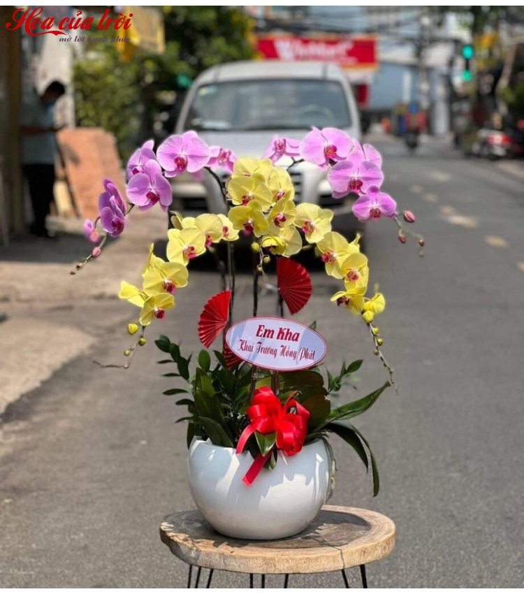 Mẫu Hoa Lan