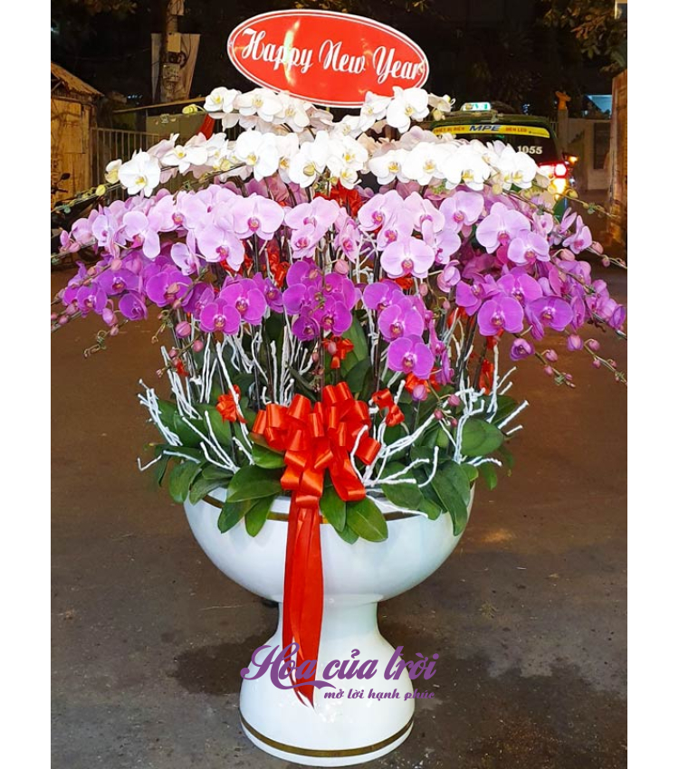 Mẫu Hoa Lan
