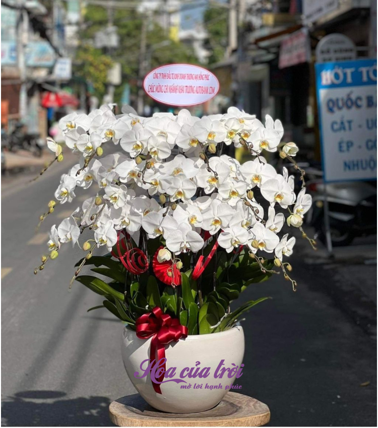 Mẫu Hoa Lan